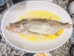 鸡汁白鱼-南京大牌档(崇文门国瑞店)