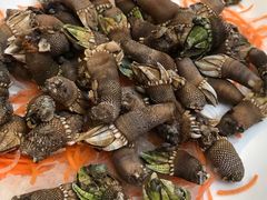 -石砰渔港·海鲜楼