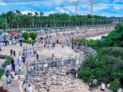 -宝安西湾红树林湿地公园