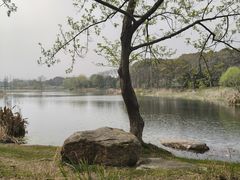 -贡湖湾湿地公园