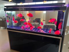 -上海和展广汽丰田4S店(老闵行店)