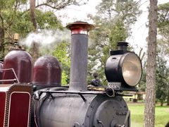 -墨尔本皇家植物园