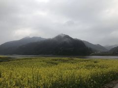 -新安江山水画廊风景区