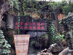 -西安国际创新人才交流中心•药浴温泉
