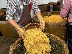 -苏州市吴中区光福窑上花果蜜饯厂