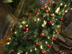 -玛格萝妮比萨屋(四平店)
