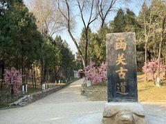 -函谷关历史文化旅游区