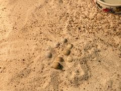 -上海大自然野生昆虫馆