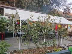 -她说户外烧烤团建(西湖店)