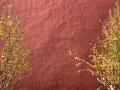 -北门涮肉·炭火铜锅涮肉(什刹海店)