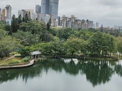 -四海公园(南山区)