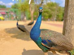 -杭州野生动物世界