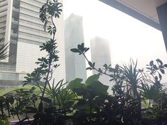 -bluefrog蓝蛙(皇庭广场店)