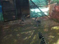 -昆明动物园