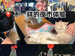 -岭南站NOVA