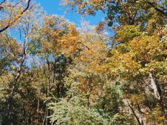 -北京上方山国家森林公园