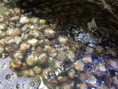 -四海蒸鲜蒸汽海鲜自助(北戴河店)