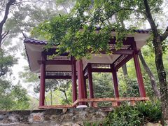 -广州市石门国家森林公园