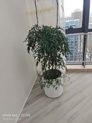 -HEYAN荷妍专业脱毛连锁机构