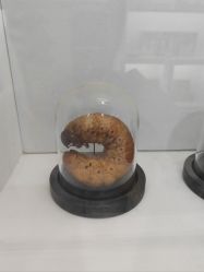 -酷嗒动物文化乐园(cutezoo西溪乐天城店)