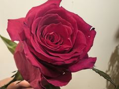 -花二家·生活馆(六运小区店)