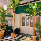 魔都排队王太食兽 终于来济南啦！