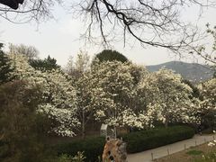 -北京鹫峰国家森林公园