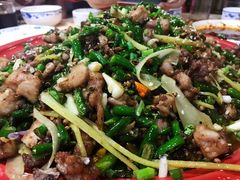 尖椒兔-东吴霸王兔(松青路店)