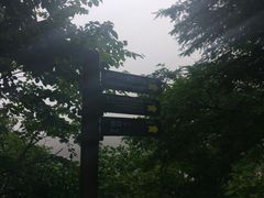 导游图-井冈山革命烈士陵园