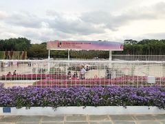 -深圳国际园林花卉博览园