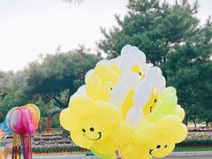 -北陵公园