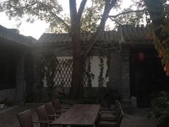 -悦真雅院·四合院·清真私房菜(雍和宫店)