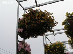 -上海昆虫博物馆