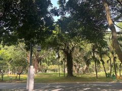 -南宁南湖公园