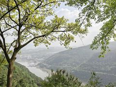 -铁山坪森林公园