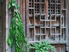 -乌镇景区