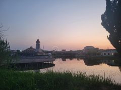 -日照海滨国家森林公园