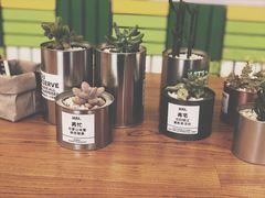 -Green Option(官舍店)