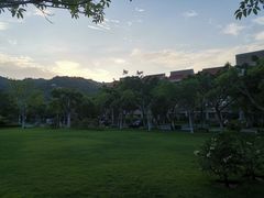 -厦门国家会计学院