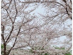 -上海辰山植物园