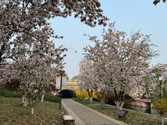 -元大都城垣遗址公园