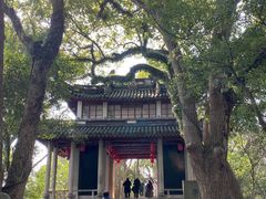 -蒋氏故居