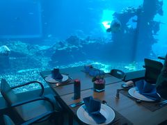 -海棠湾洲际-涛·海底餐厅·美人鱼·自助餐·海底隧道