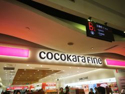 -cocokarafine可开嘉来
