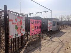-大自然农场蔬菜草莓采摘园