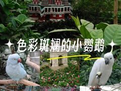 -世界地热博览园