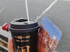 -一树一叶·福建茶档(石鼓路店)