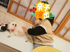 -Let's go狗咖·猫咖·奶狗·桌游(春熙路IFS店)