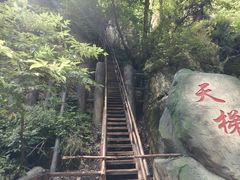 -茅兰沟国家森林公园