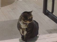 -凤凰御元艺术基地